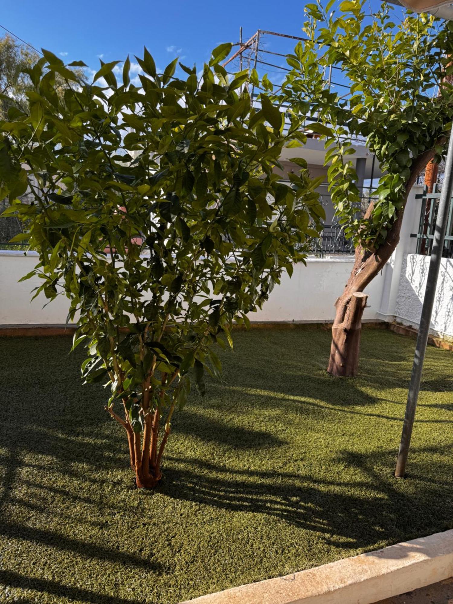 Salamis Luxury Escape Villa Eksteriør bilde